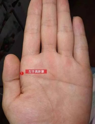 男人假斷掌手相算命圖解_男人手相算命圖解_男人五官手相算命圖解
