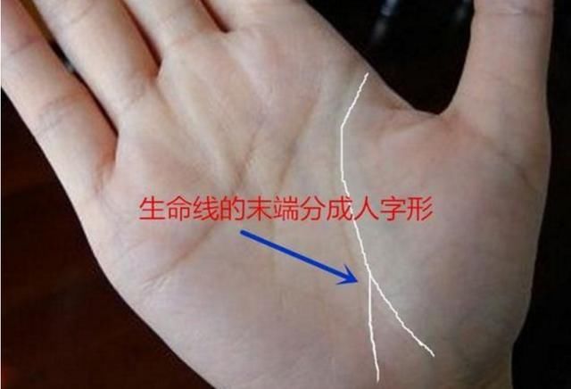 女人左手婚姻線有分叉_成功線在智慧線分叉_婚姻線分叉