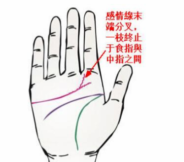 婚姻線分叉_成功線在智慧線分叉_女人左手婚姻線有分叉