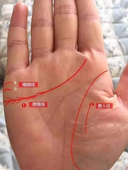 女人左手婚姻線有分叉_成功線在智慧線分叉_婚姻線分叉