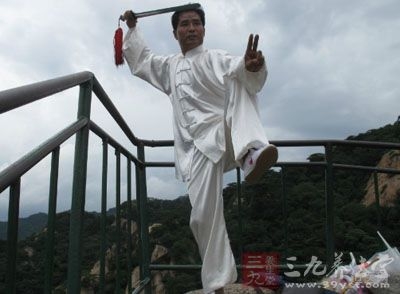張三豐太極拳理論大全,張三豐太極拳自學(xué)教程