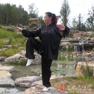 張三豐太極拳理論大全,張三豐太極拳自學(xué)教程