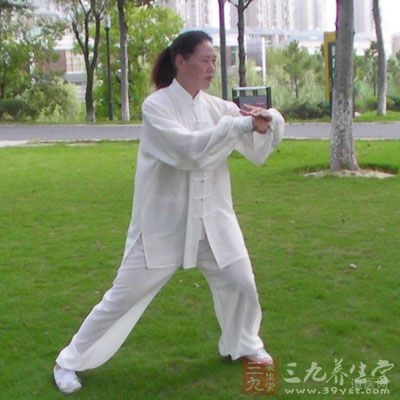 張三豐太極拳理論大全,張三豐太極拳自學(xué)教程