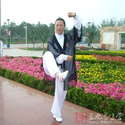 張三豐太極拳理論大全,張三豐太極拳自學(xué)教程
