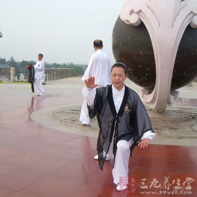 張三豐太極拳理論大全,張三豐太極拳自學(xué)教程