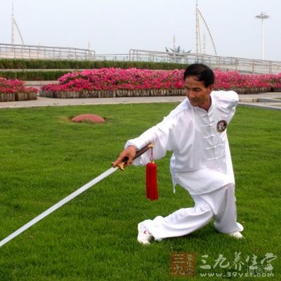 張三豐太極拳理論大全,張三豐太極拳自學(xué)教程