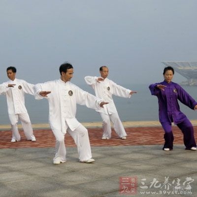 張三豐太極拳理論大全,張三豐太極拳自學(xué)教程