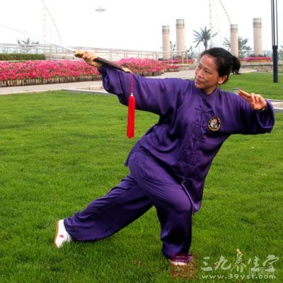 張三豐太極拳理論大全,張三豐太極拳自學(xué)教程