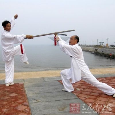 張三豐太極拳理論大全,張三豐太極拳自學(xué)教程